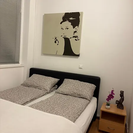 Apartment Topli Kutak Bascarsija -free Parking *