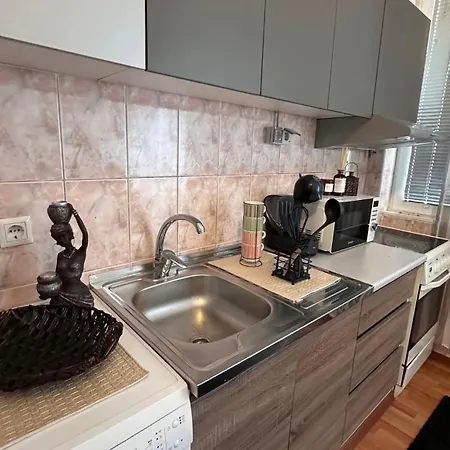 Topli Kutak Bascarsija -free Parking 公寓 塞拉耶佛