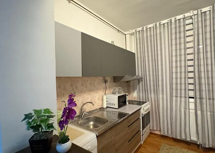 Apartment Topli Kutak Bascarsija -free Parking *